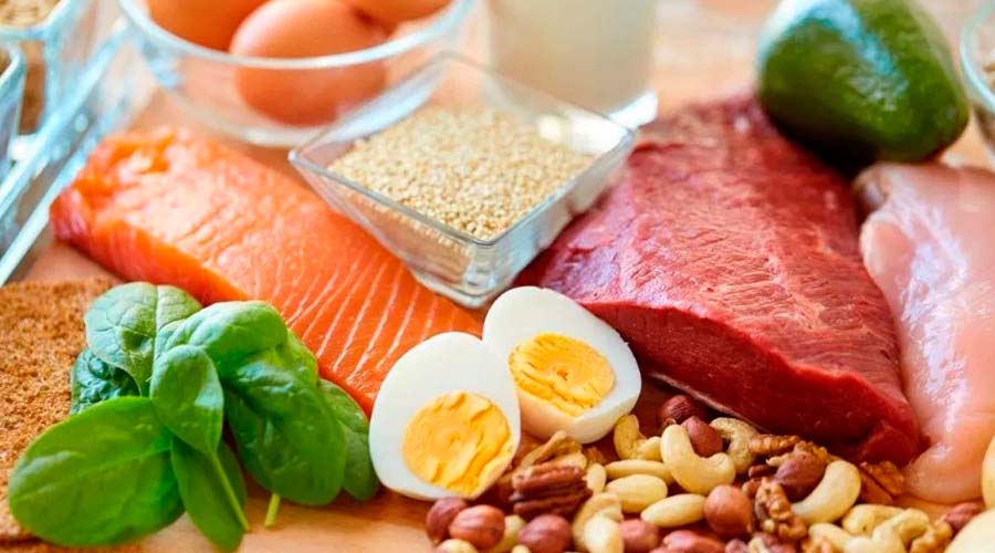 Cuánta proteína debemos consumir por día