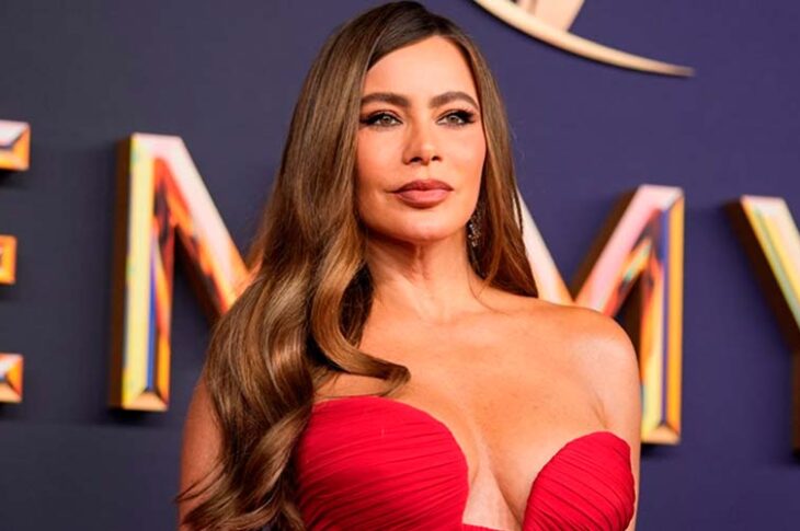 ¿Sofía Vergara confirmó su relación con Douglas Chabbott?