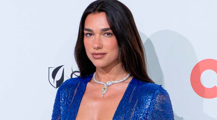Dua Lipa inauguró su propia biblioteca con libros prohibidos